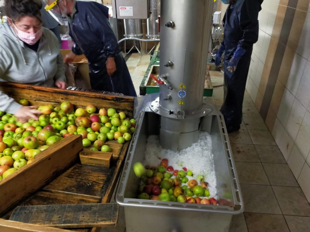pressage des pommes de laire doubs